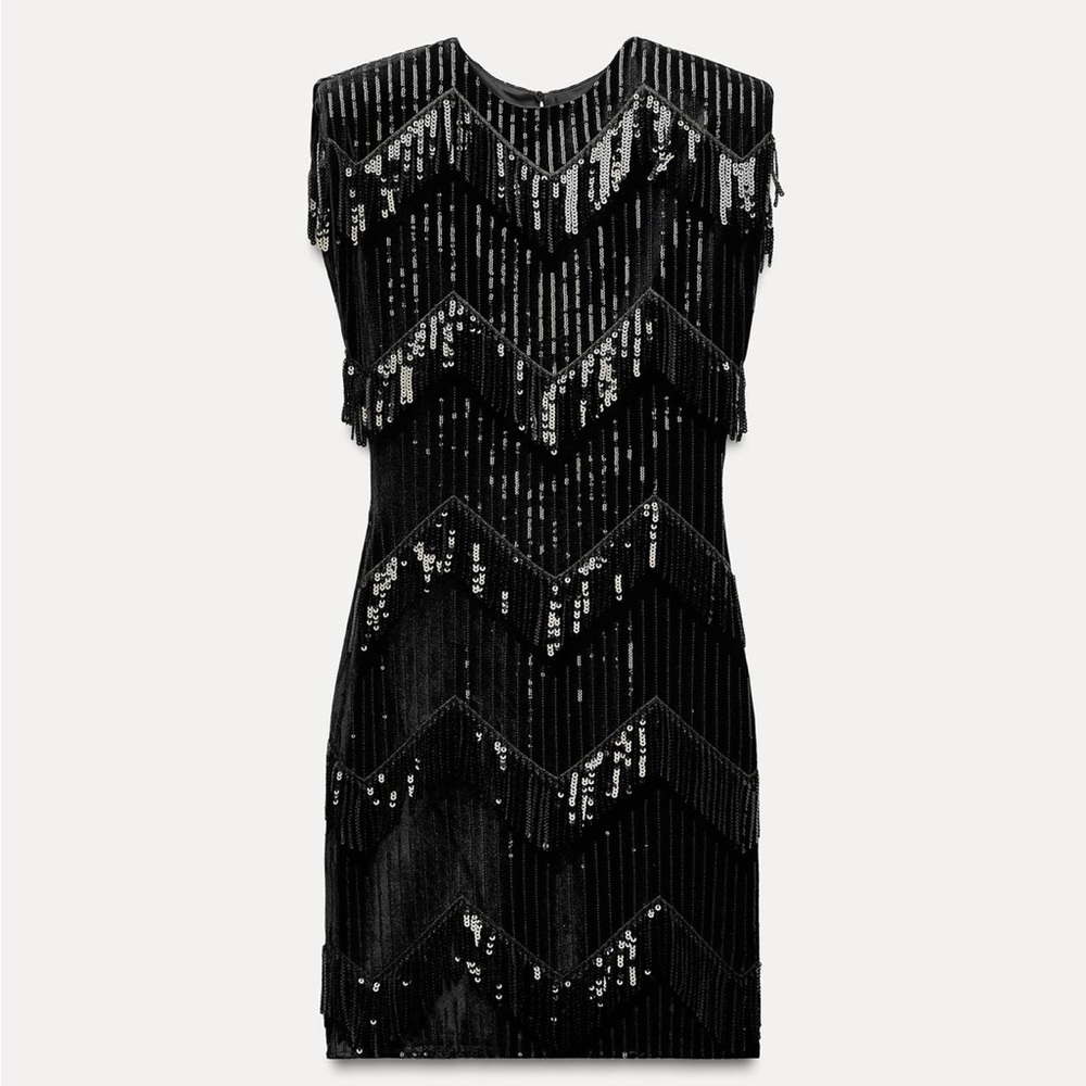 NWT ZARA  FRINGED Sequin Dress size XS AND S
🚨FIRM PRICE NO DISCOUNT - Picture 10 of 15
